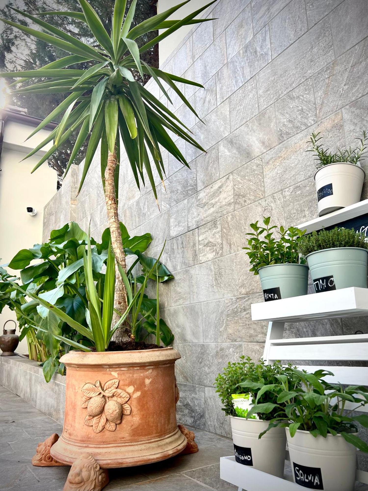 Lucentum Bed and Breakfast Πράτο Εξωτερικό φωτογραφία